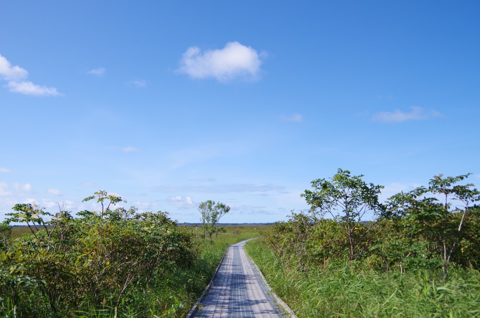 f:id:meihokkaido:20190706094641j:plain f:id:meihokkaido:20190706094641j:plain