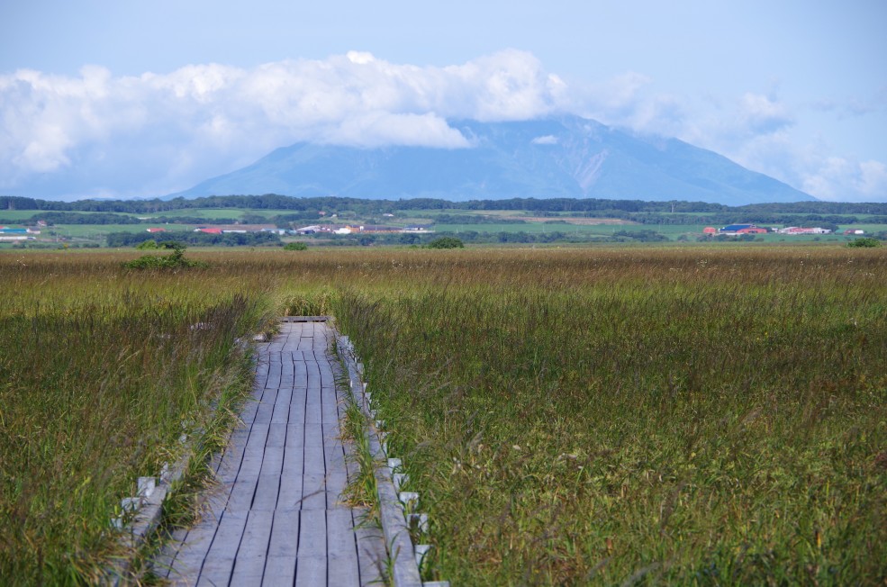 f:id:meihokkaido:20190706094644j:plain f:id:meihokkaido:20190706094644j:plain