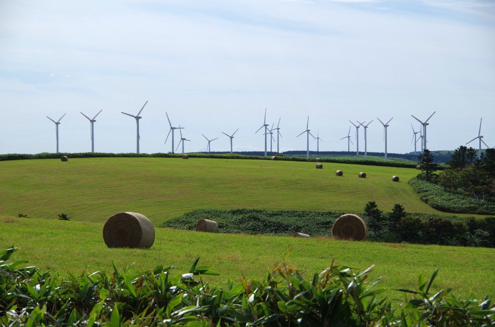 f:id:meihokkaido:20190706102350j:plain f:id:meihokkaido:20190706102350j:plain