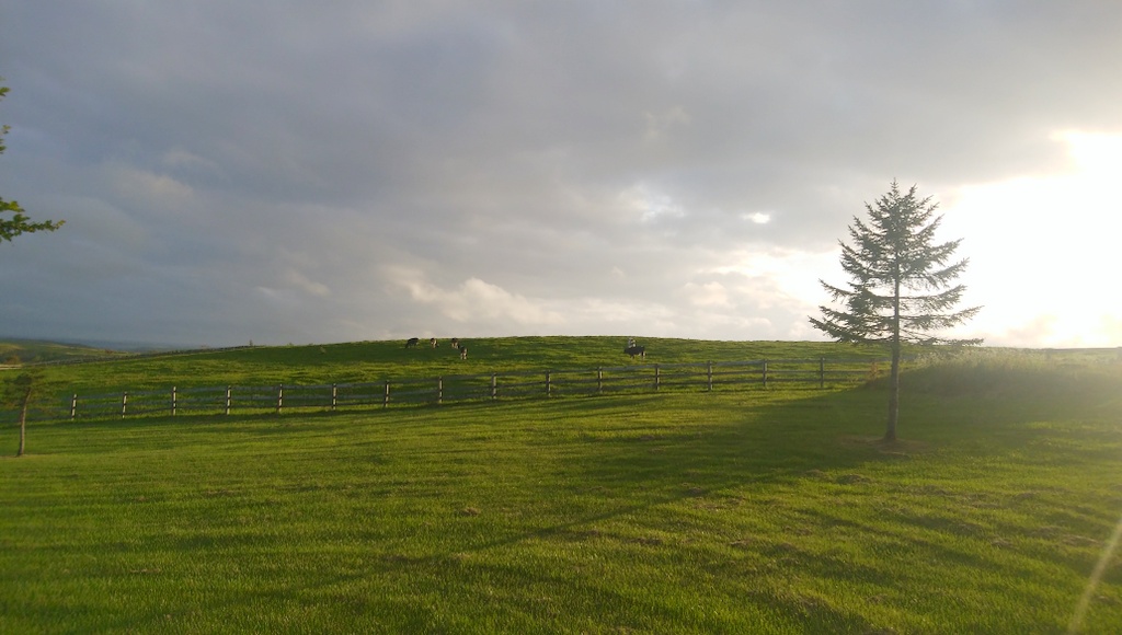 f:id:meihokkaido:20190711205910j:plain f:id:meihokkaido:20190711205910j:plain