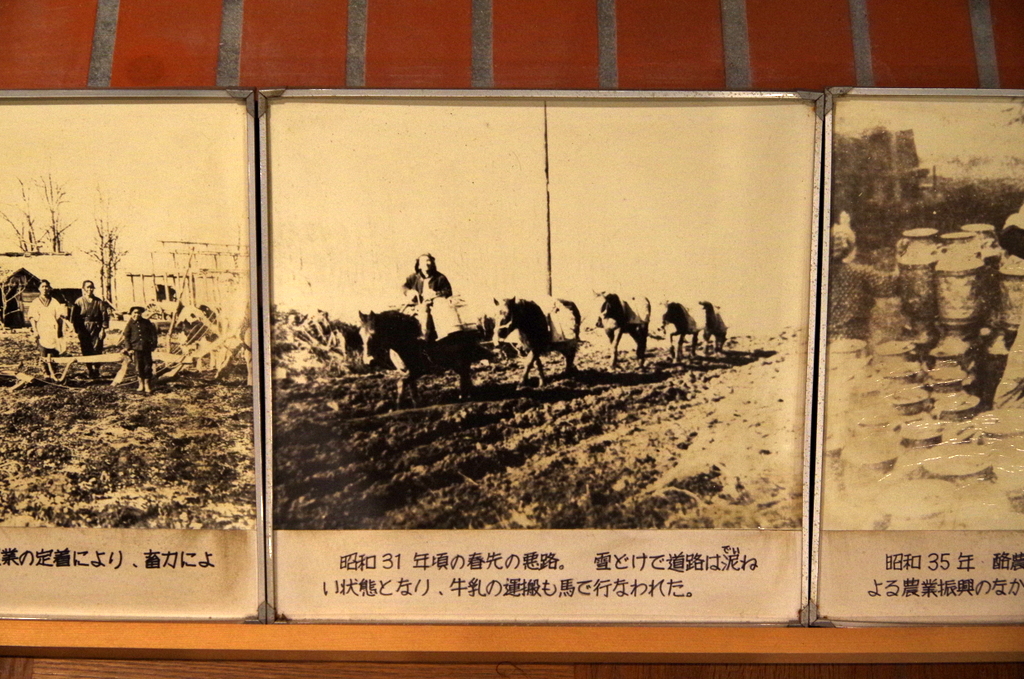 f:id:meihokkaido:20190713171246j:plain f:id:meihokkaido:20190713171246j:plain