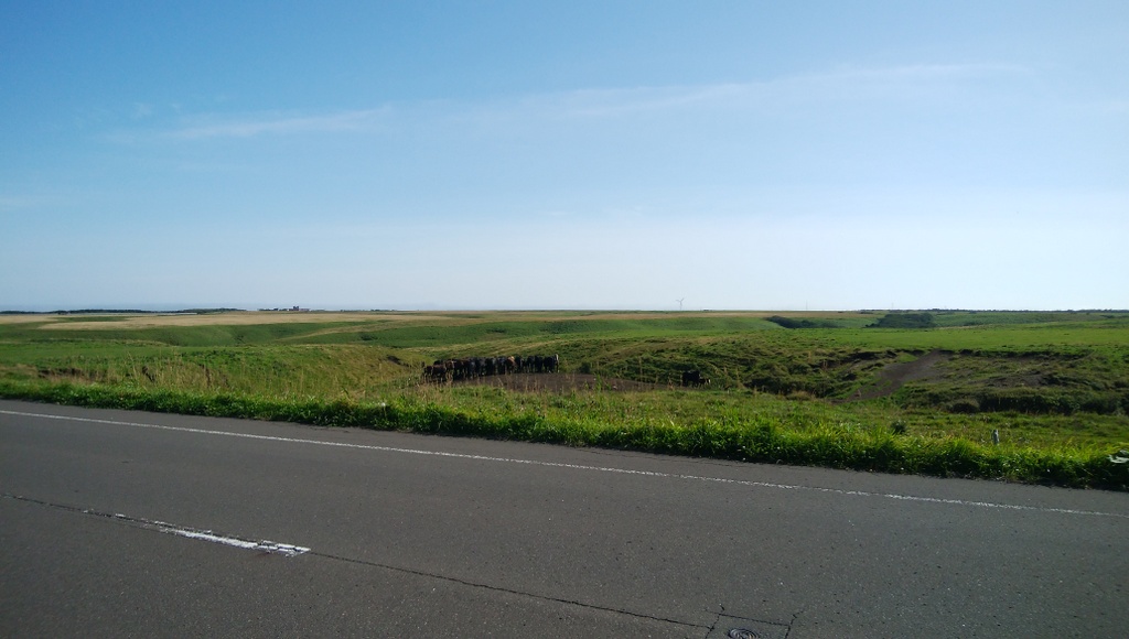 f:id:meihokkaido:20190715130933j:plain f:id:meihokkaido:20190715130933j:plain