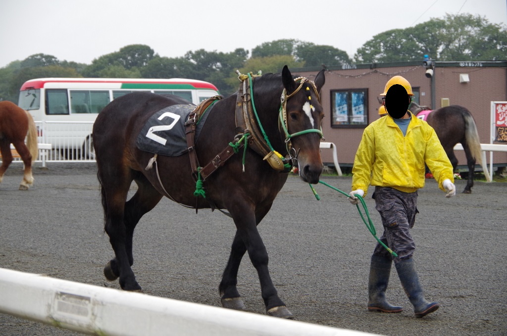f:id:meihokkaido:20190721101227j:plain f:id:meihokkaido:20190721101227j:plain