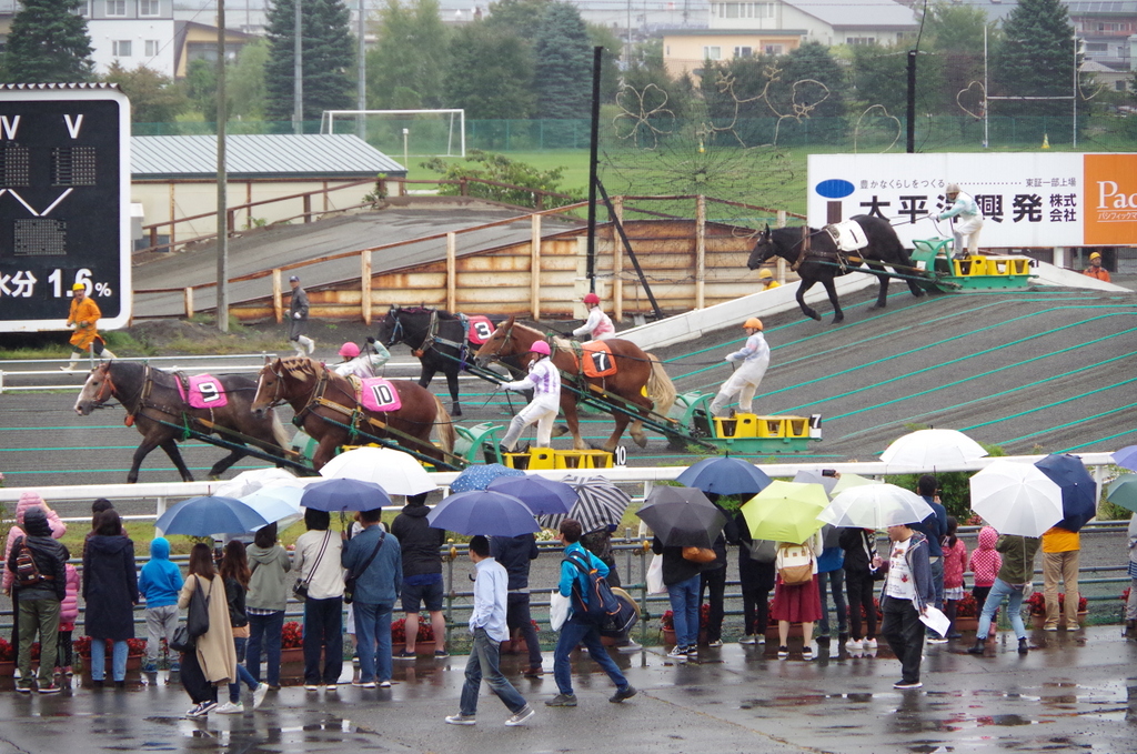 f:id:meihokkaido:20190721101244j:plain f:id:meihokkaido:20190721101244j:plain