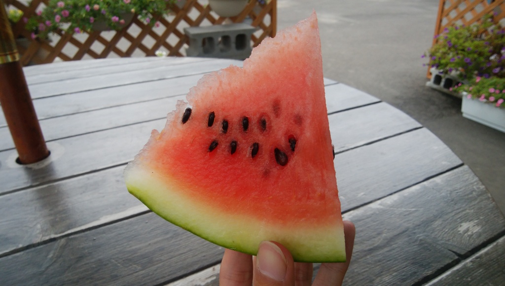 f:id:meihokkaido:20190728131914j:plain f:id:meihokkaido:20190728131914j:plain