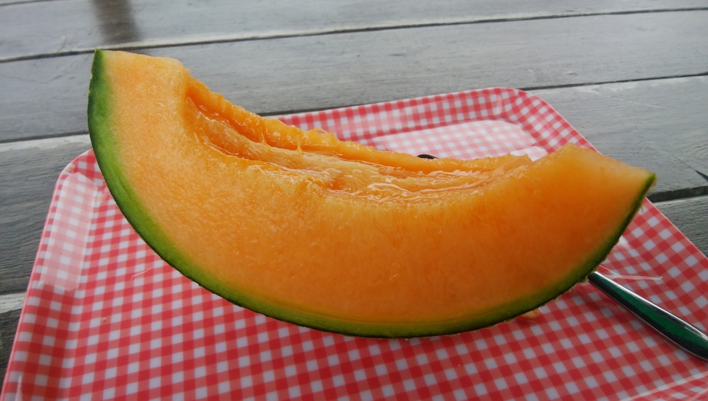 f:id:meihokkaido:20190728131917j:plain f:id:meihokkaido:20190728131917j:plain