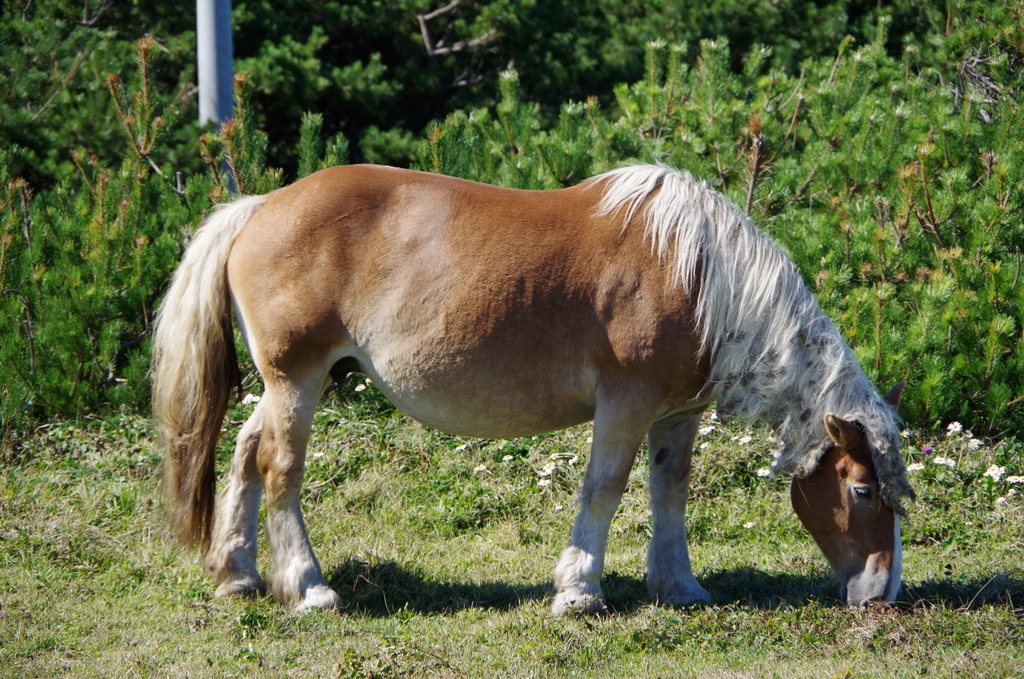 f:id:meihokkaido:20190806105102j:plain f:id:meihokkaido:20190806105102j:plain