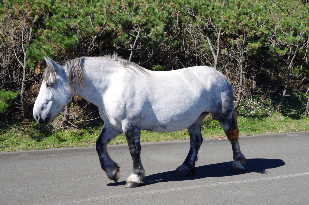 f:id:meihokkaido:20190806105115j:plain f:id:meihokkaido:20190806105115j:plain