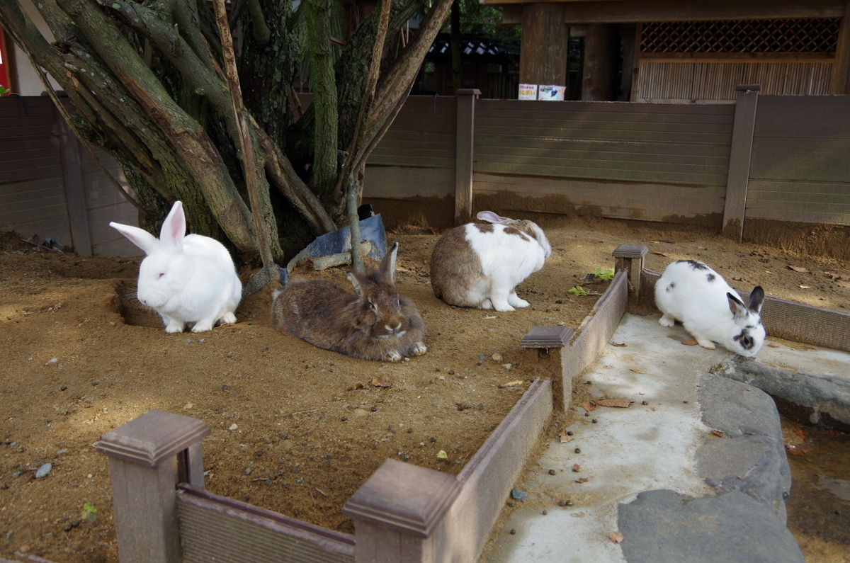f:id:meihokkaido:20190824094456j:plain f:id:meihokkaido:20190824094456j:plain