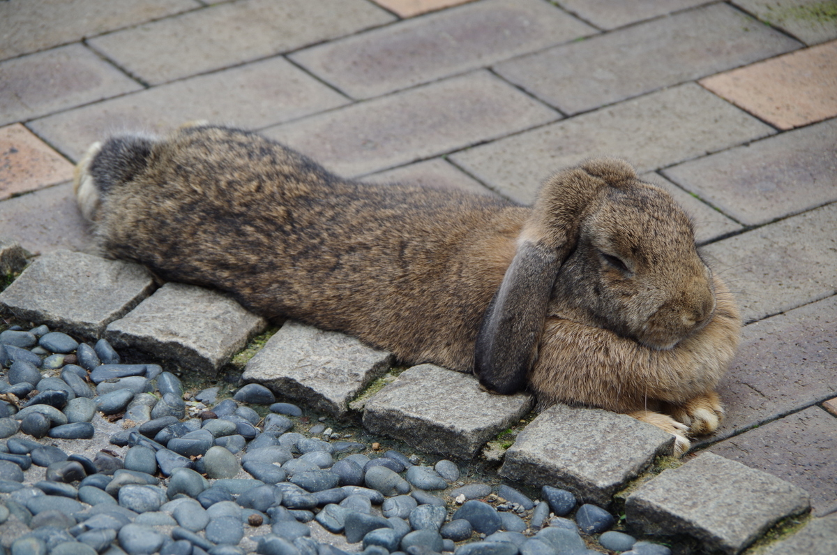 f:id:meihokkaido:20190824094500j:plain f:id:meihokkaido:20190824094500j:plain