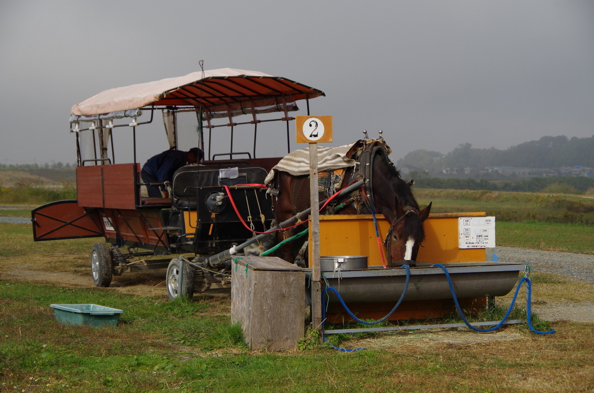 f:id:meihokkaido:20191003183807j:plain f:id:meihokkaido:20191003183807j:plain