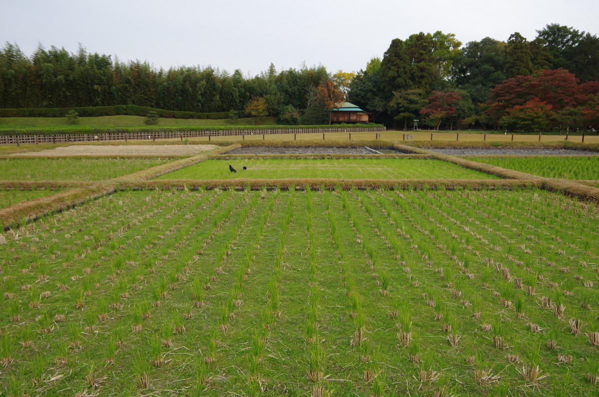 f:id:meihokkaido:20191014173952j:plain f:id:meihokkaido:20191014173952j:plain