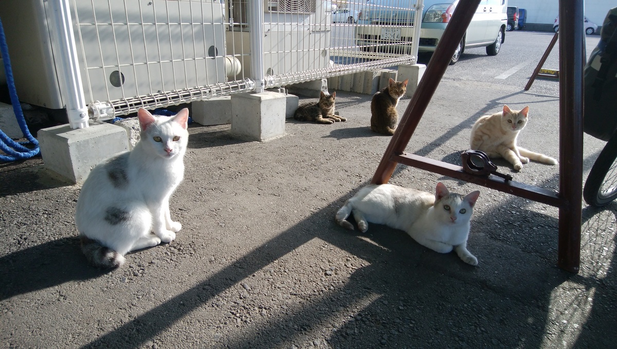 f:id:meihokkaido:20191021093714j:plain f:id:meihokkaido:20191021093714j:plain