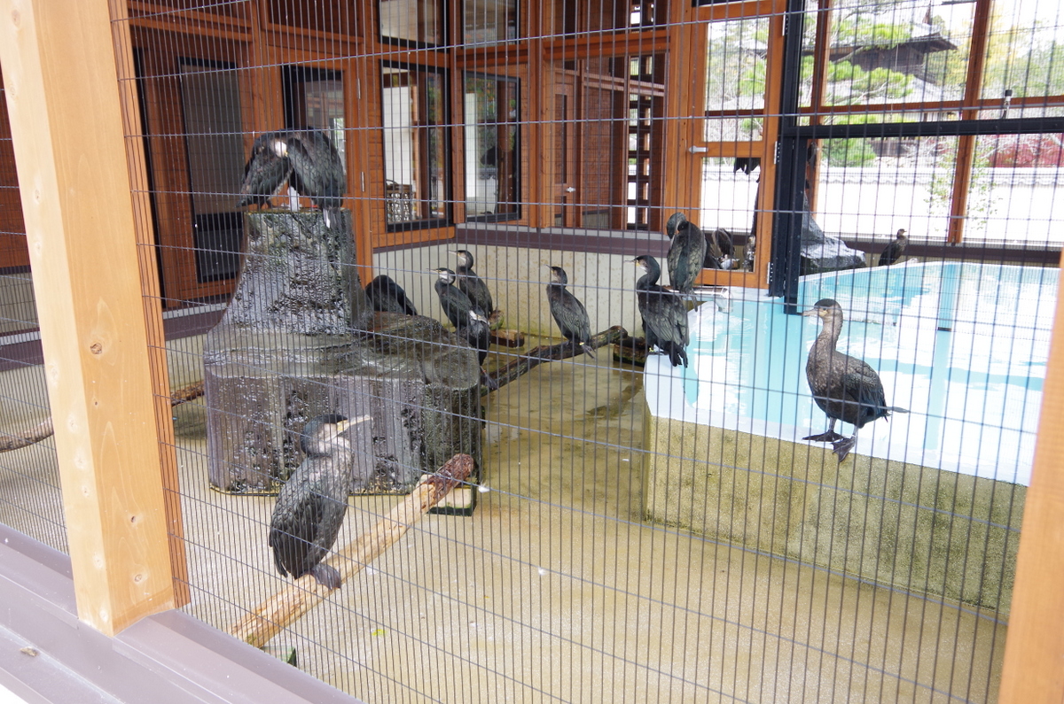 f:id:meihokkaido:20191025164249j:plain f:id:meihokkaido:20191025164249j:plain