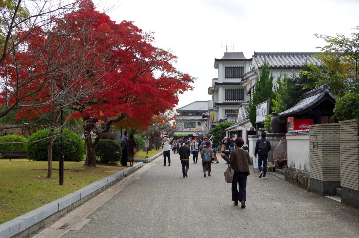 f:id:meihokkaido:20191025164328j:plain f:id:meihokkaido:20191025164328j:plain