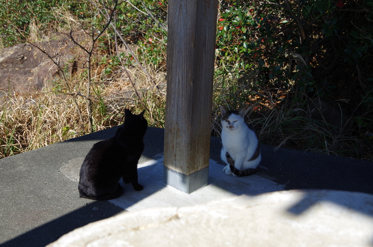 f:id:meihokkaido:20191029210321j:plain f:id:meihokkaido:20191029210321j:plain