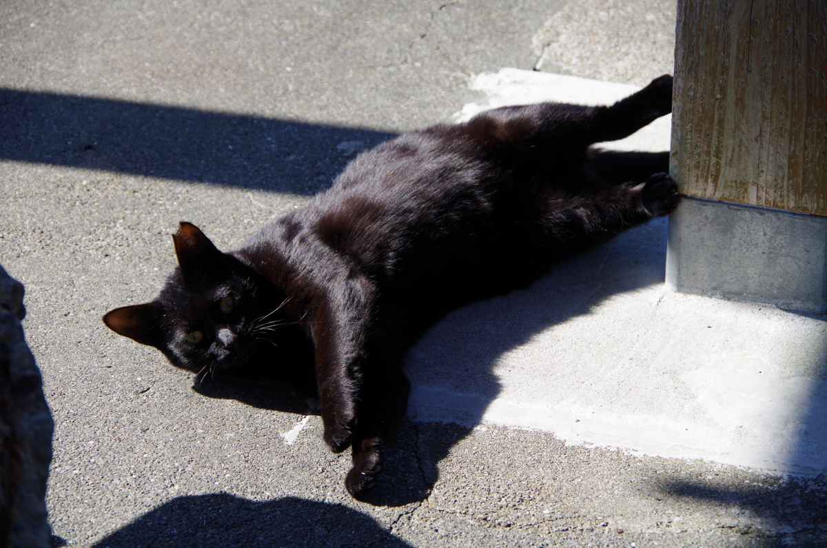 f:id:meihokkaido:20191029210324j:plain f:id:meihokkaido:20191029210324j:plain
