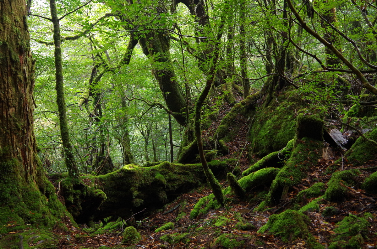 f:id:meihokkaido:20191105134558j:plain f:id:meihokkaido:20191105134558j:plain