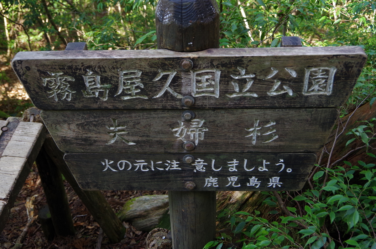 f:id:meihokkaido:20191106092910j:plain f:id:meihokkaido:20191106092910j:plain