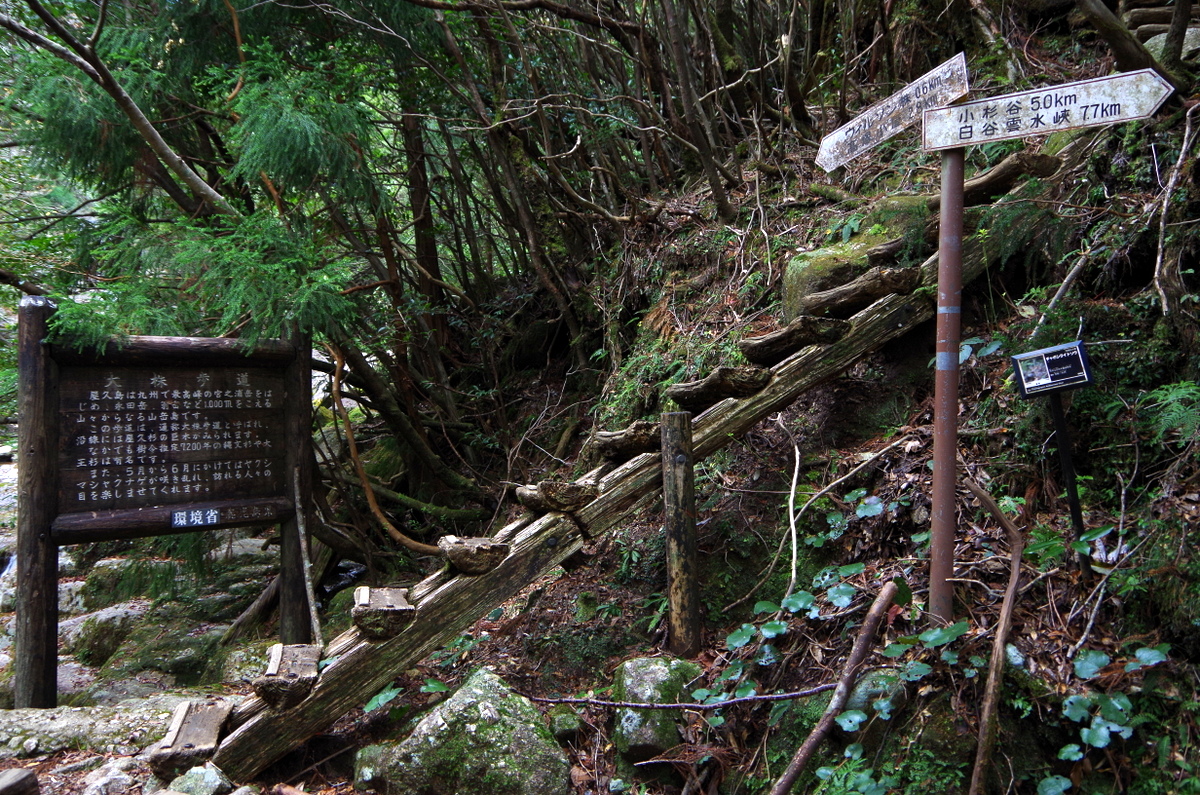 f:id:meihokkaido:20191106092923j:plain f:id:meihokkaido:20191106092923j:plain