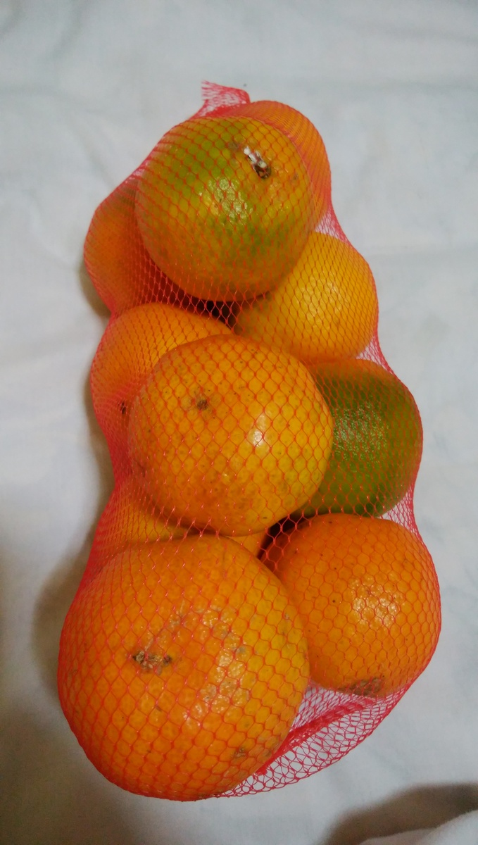f:id:meihokkaido:20191107194549j:plain f:id:meihokkaido:20191107194549j:plain
