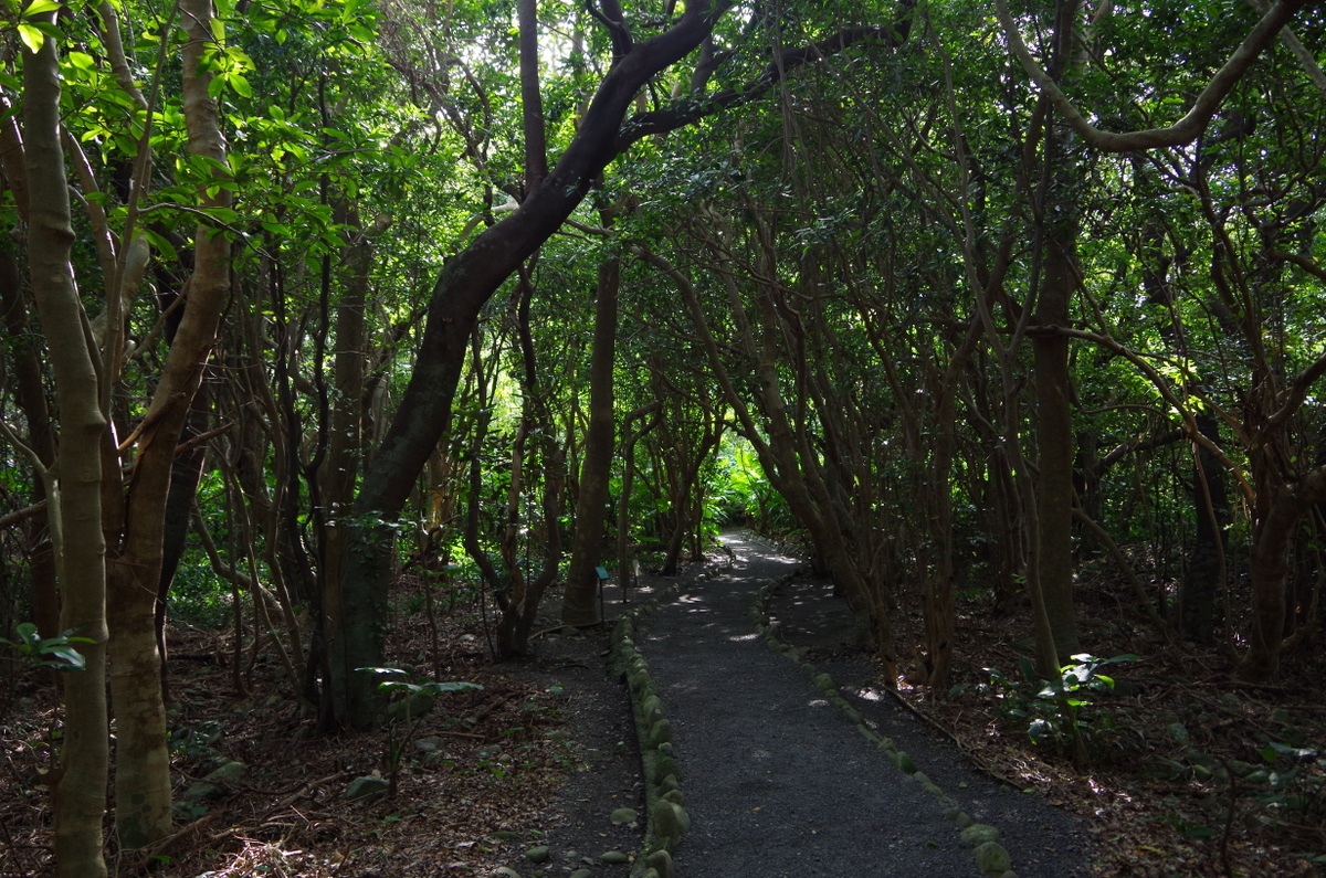 f:id:meihokkaido:20191107194558j:plain f:id:meihokkaido:20191107194558j:plain