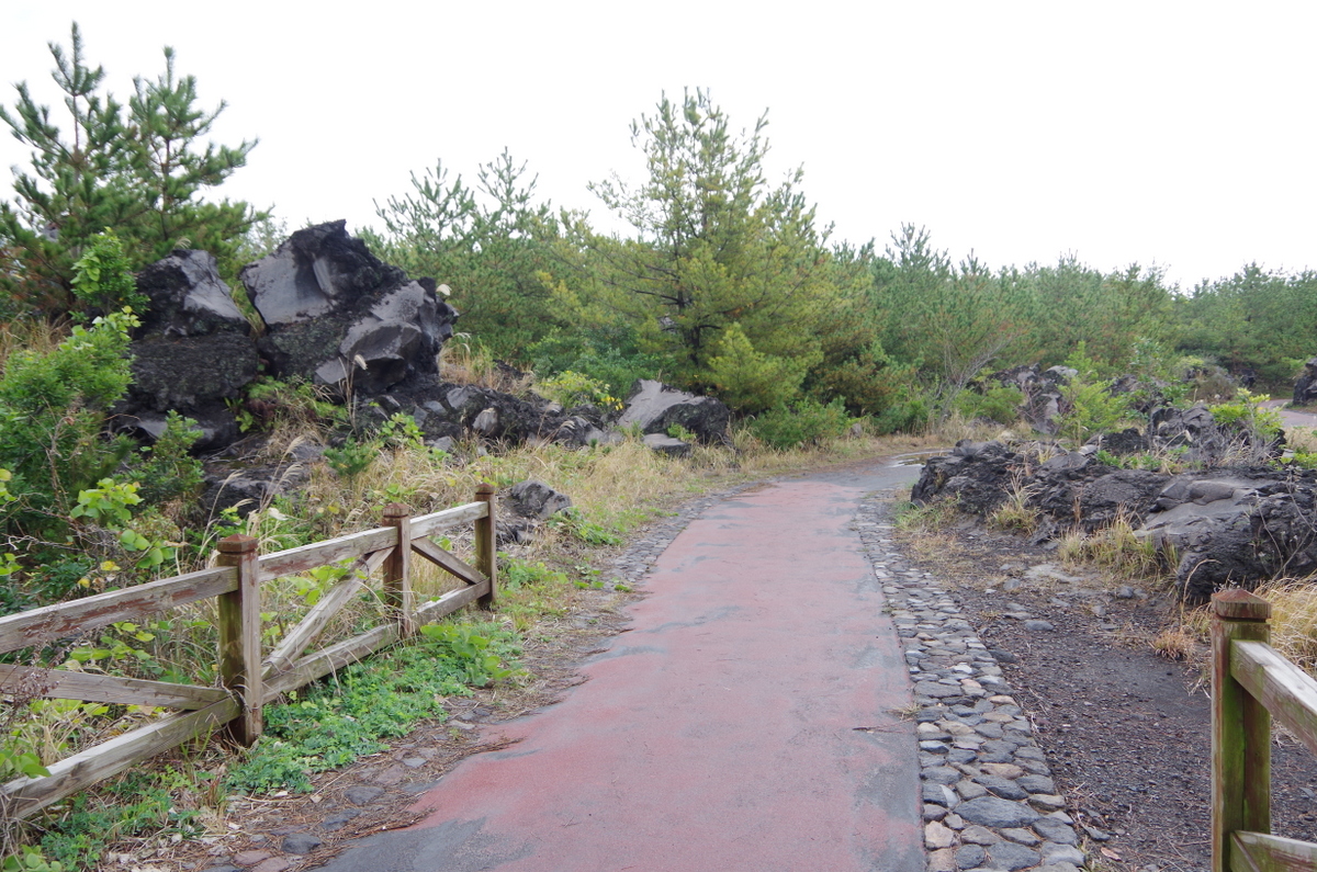 f:id:meihokkaido:20191111094003j:plain f:id:meihokkaido:20191111094003j:plain