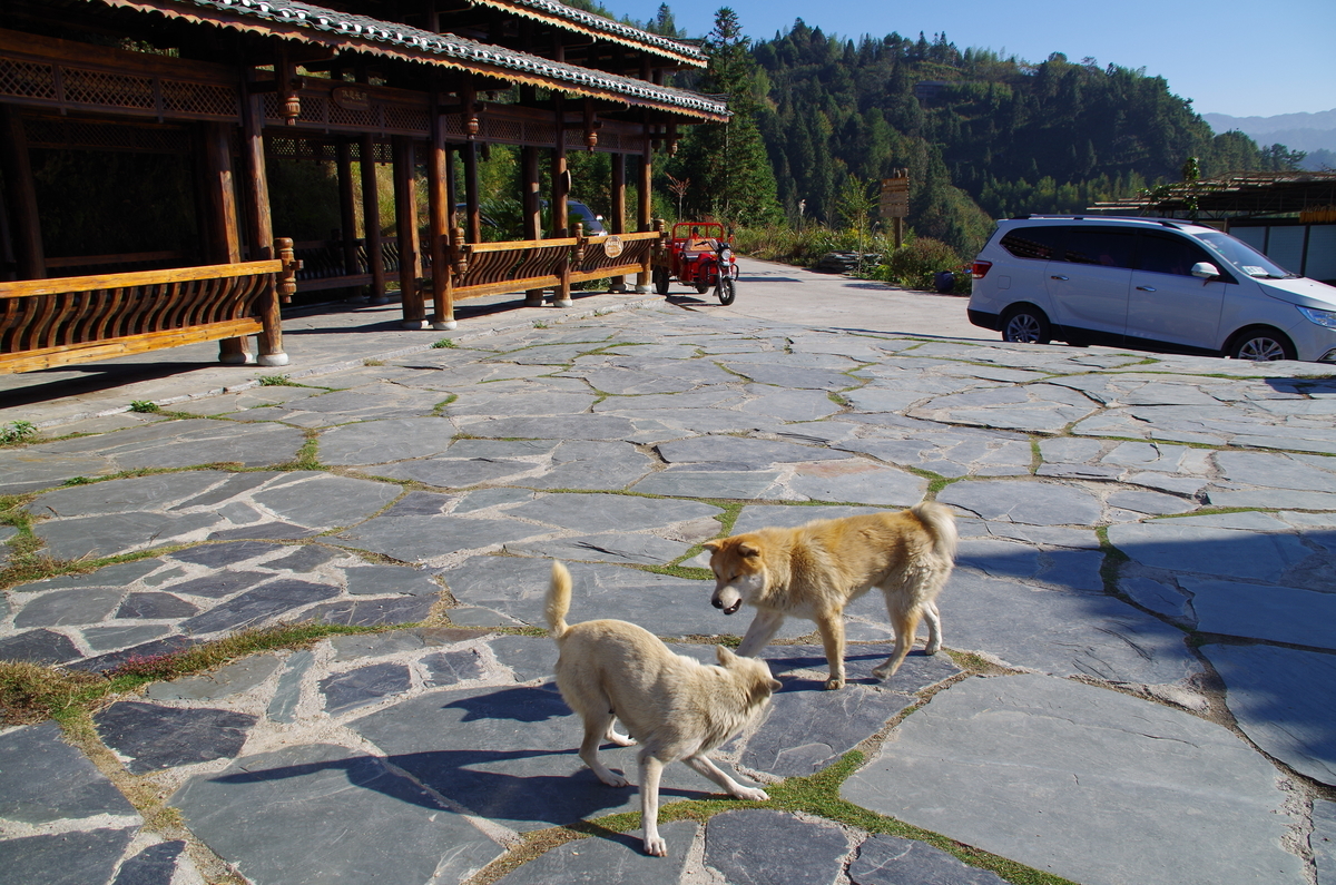 f:id:meihokkaido:20200329130834j:plain f:id:meihokkaido:20200329130834j:plain
