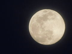 f:id:meihowa:20200407190946j:plain f:id:meihowa:20200407190946j:plain