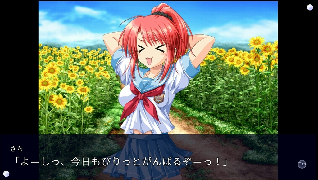 車輪の国 向日葵の少女 夏の終わりに出会ったゲームの話 やまたかさん ポケモンやってください