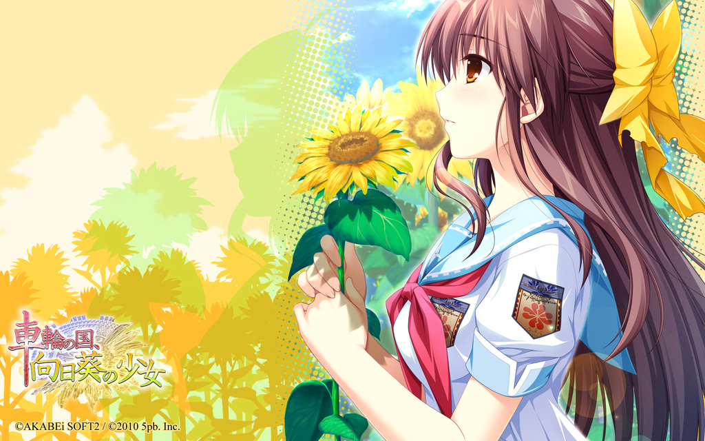 車輪の国 向日葵の少女 夏の終わりに出会ったゲームの話 やまたかさん ポケモンやってください