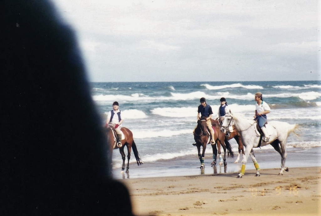 f:id:meijizuyou:20181030222425j:plain f:id:meijizuyou:20181030222425j:plain