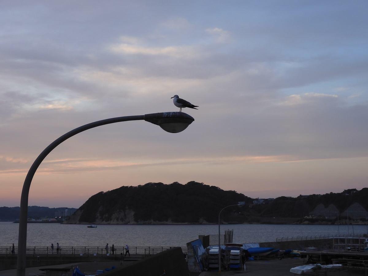 f:id:meijizuyou:20191002203119j:plain