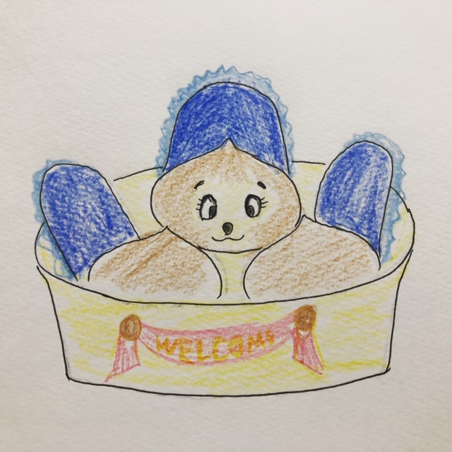 f:id:meikahiyo:20181218235930j:plain f:id:meikahiyo:20181218235930j:plain