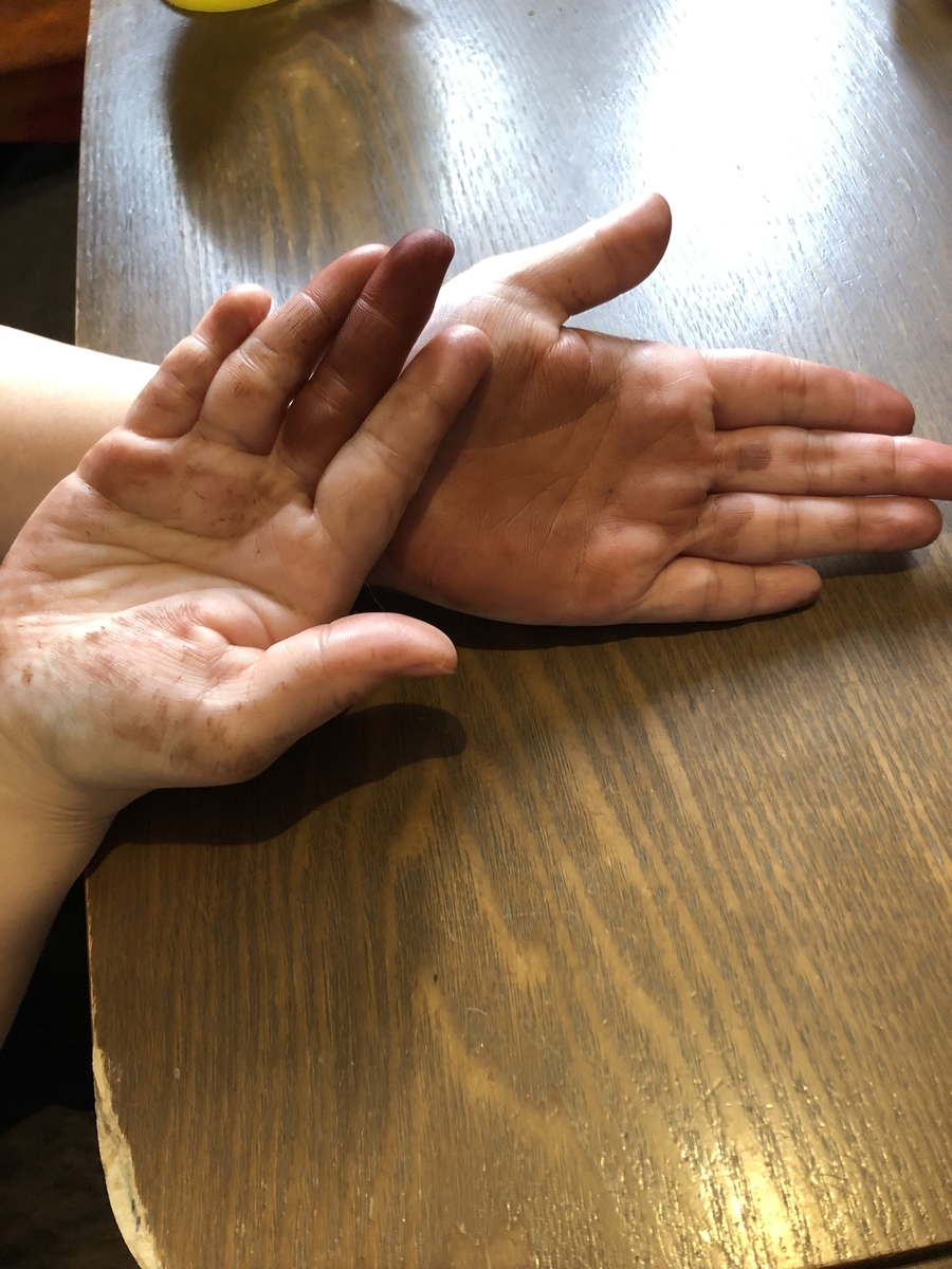 f:id:meikosan55:20190415181047j:plain