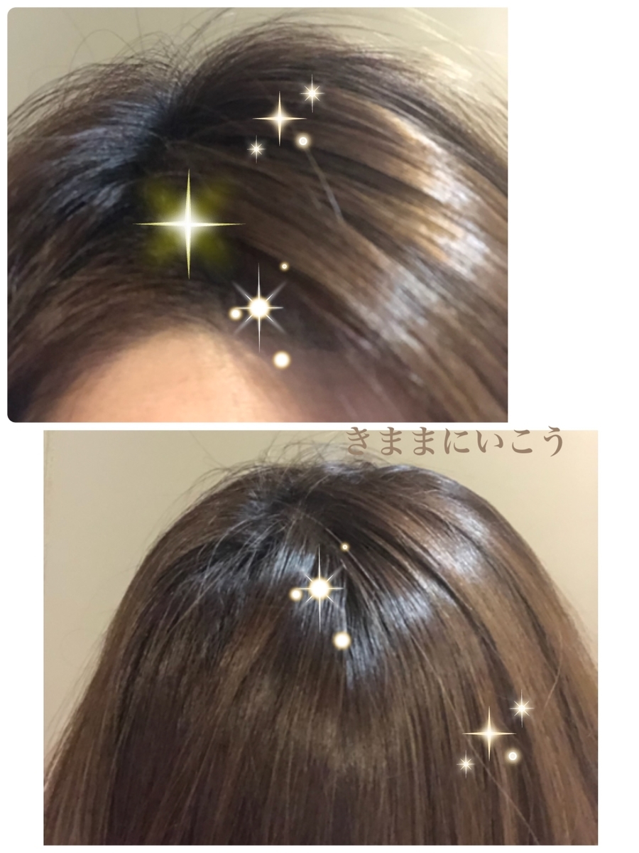 f:id:meikosan55:20190423233322j:plain