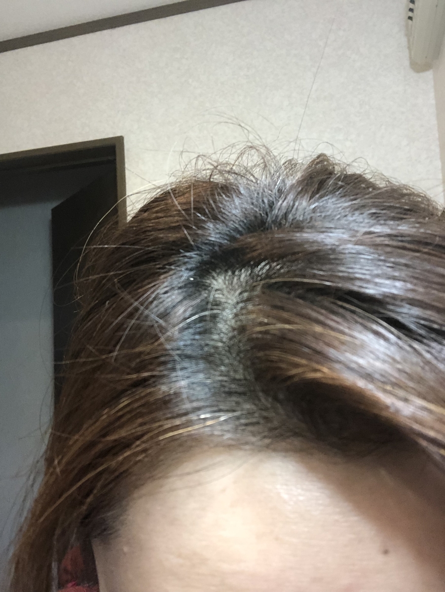 f:id:meikosan55:20190423234536j:plain