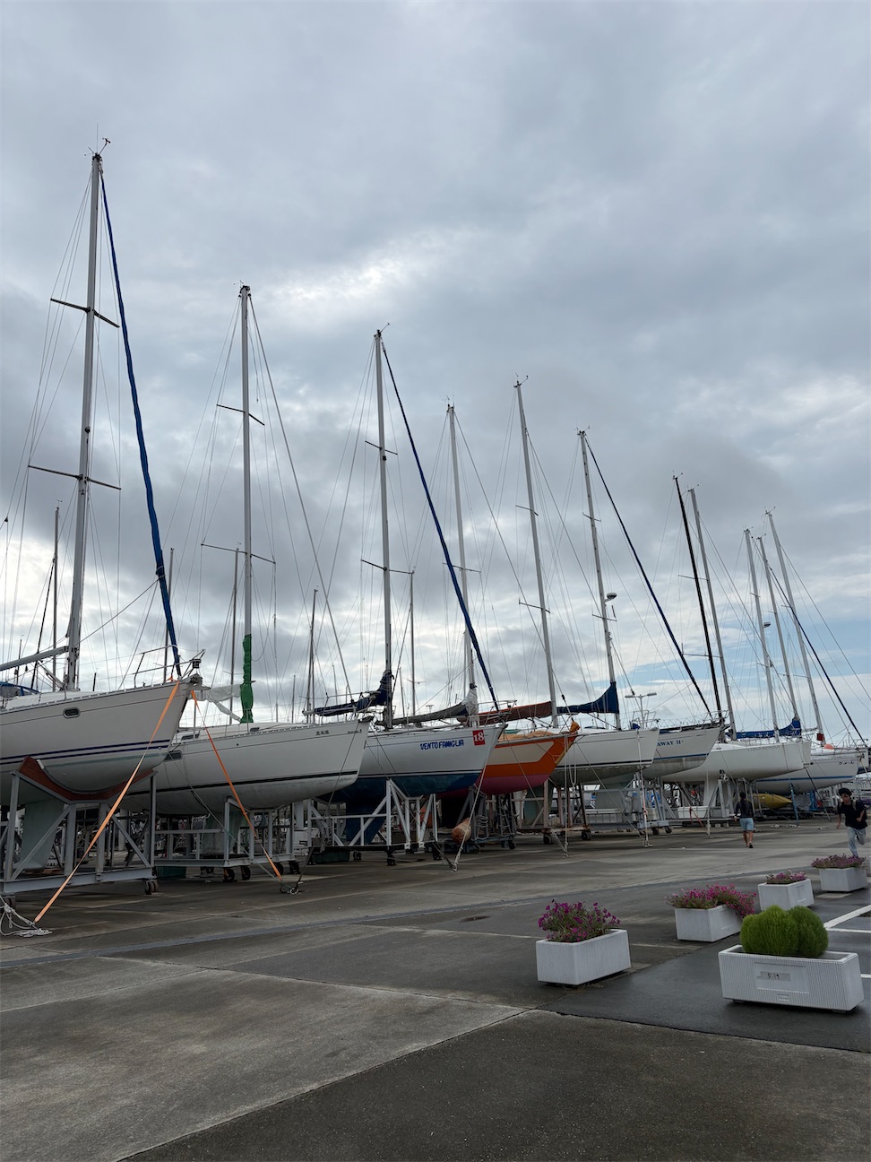 f:id:meikoyacht:20260929225720j:image f:id:meikoyacht:20260929225720j:image