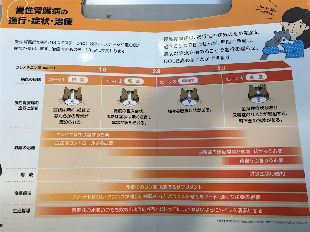 f:id:meikumiracle:20200612062216j:image