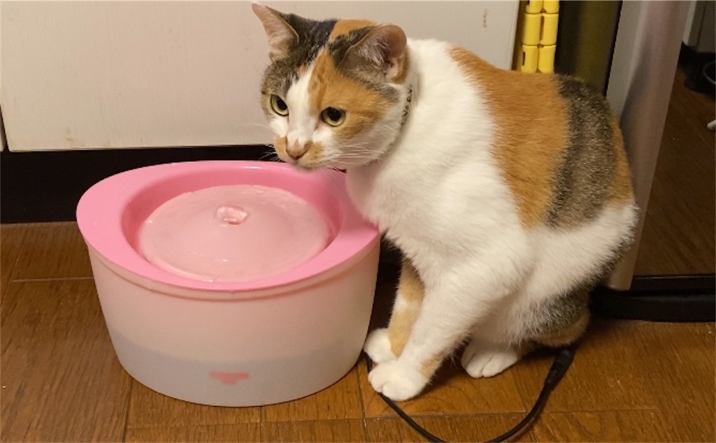 f:id:meikumiracle:20200714112338j:image f:id:meikumiracle:20200714112338j:image