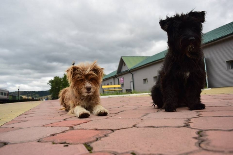 f:id:meiliiiiin:20170809000254j:plain f:id:meiliiiiin:20170809000254j:plain
