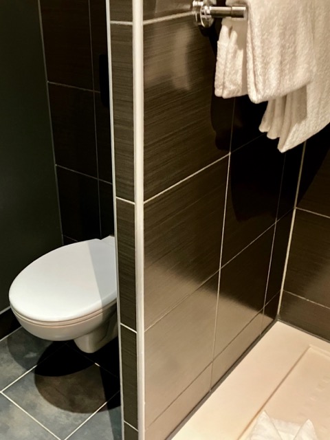 バスルーム内の清潔感のあるトイレとタオルハンガーの配置