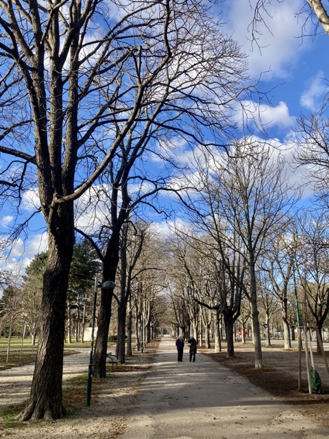 ブラームスも歩いたプラーター公園の広大な並木道（ハウプトアレー）