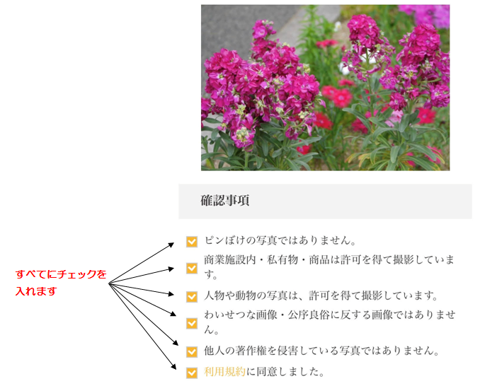 <img src=”drink.jpg” alt=”アップロードの方法2”>