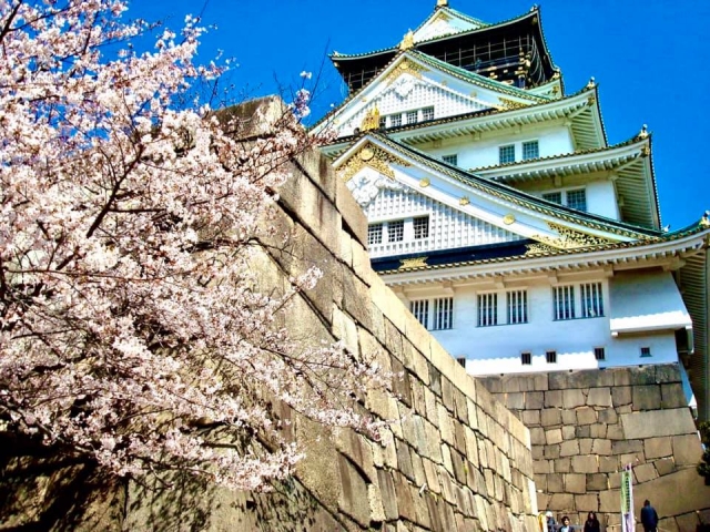 <img src=”drink.jpg” alt=”日本史ってどんなもの？”>