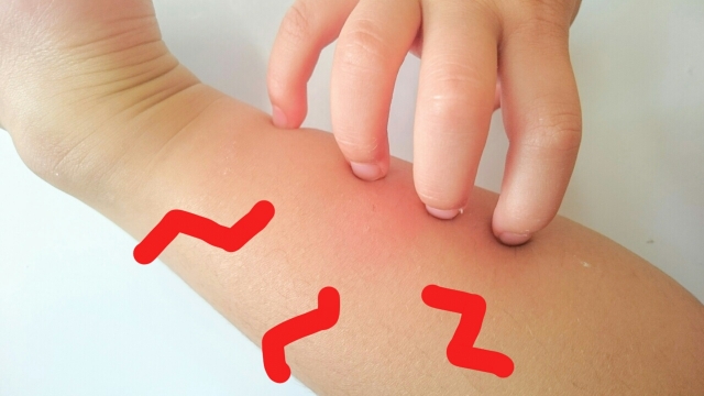 <img src=”drink.jpg” alt=”蚊が好きな人の傾向”>