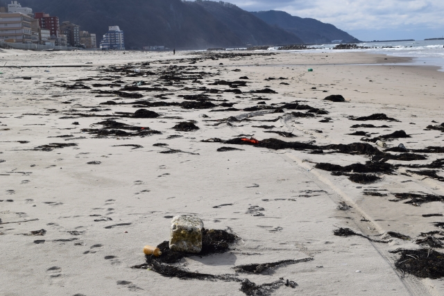 地球環境について