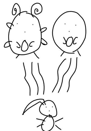 f:id:meiro_poke:20190506153529j:plain f:id:meiro_poke:20190506153529j:plain