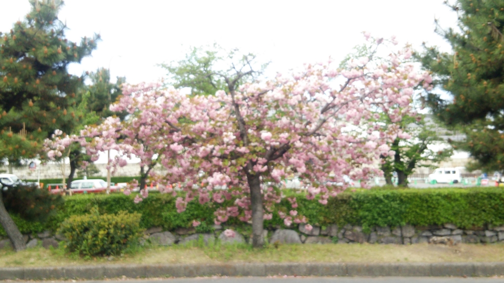 f:id:meisei-m:20170425080338j:plain f:id:meisei-m:20170425080338j:plain