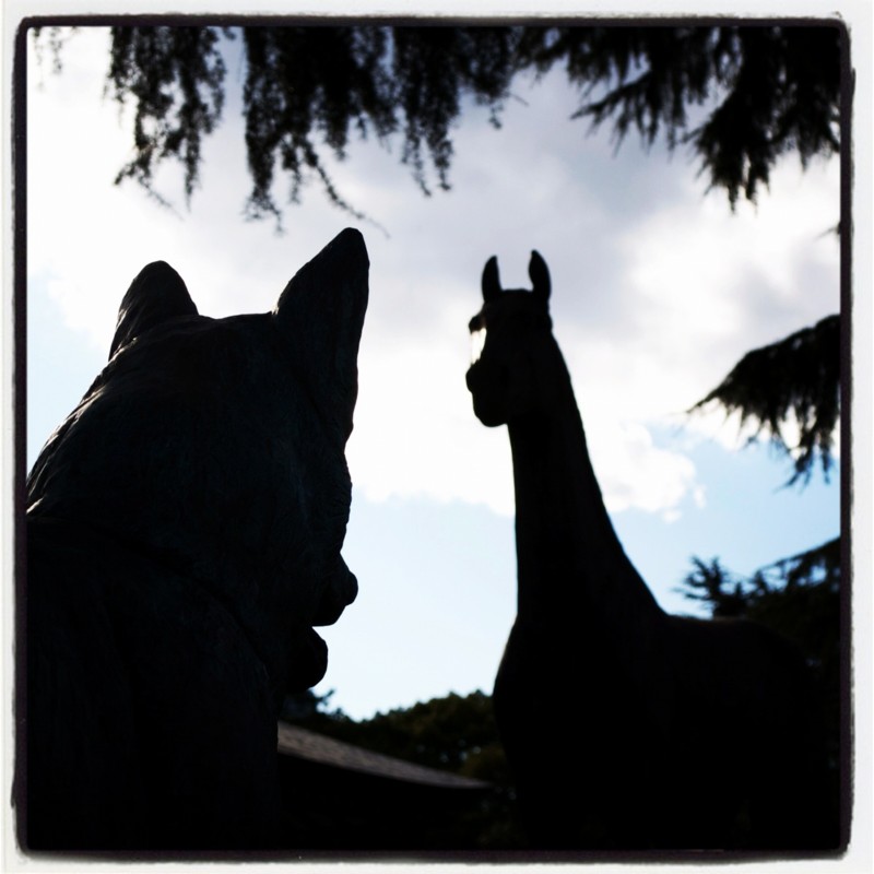 f:id:meison_amsl:20120103171922j:image:w640